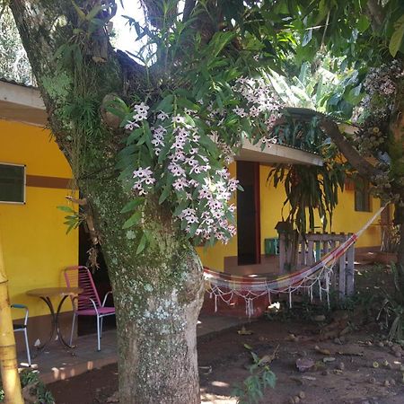 Hotel Los Amigos 푸에르토이과수 외부 사진