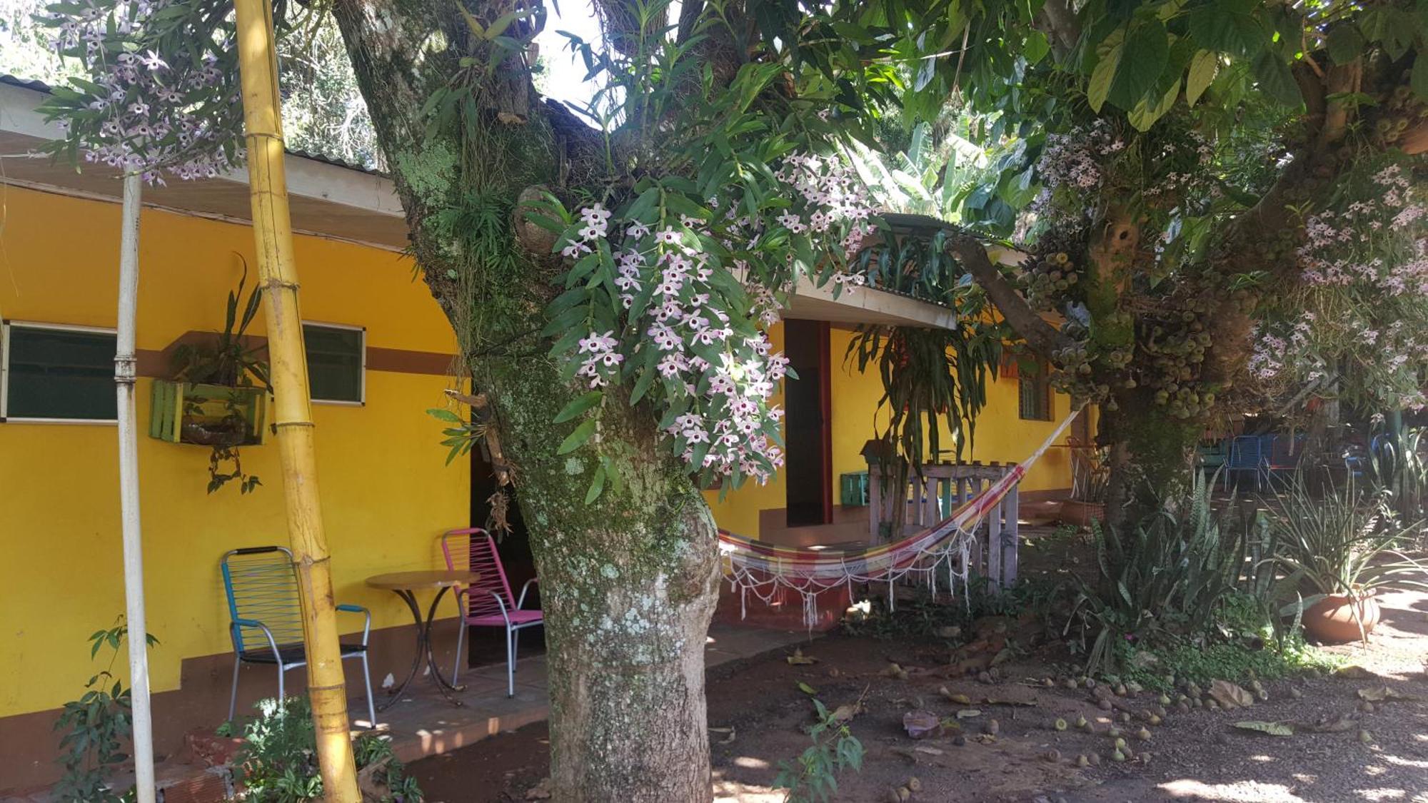 Hotel Los Amigos 푸에르토이과수 외부 사진